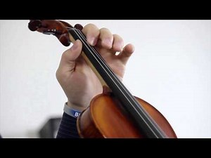 Intermediate Advanced Violin Lessons