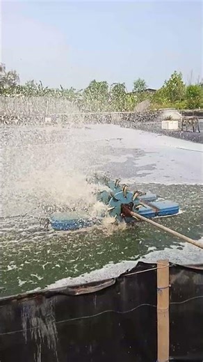 Self-reflection || Muhasabah