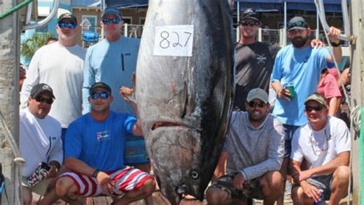 5 Florida records for biggest fish include 1,046-pound blue marlin