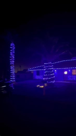 5.7K views · 74 reactions | Here’s Warren Harvey on Tom Tom Drive. “Blue Christmas.” ❄️ To view the rest of our Christmas Tree Lane map and vote for your favorite, visit Havasunews.com ️ #christmas #christmaslights #news #holidays #lakehavasu | Today's News Herald | Facebook