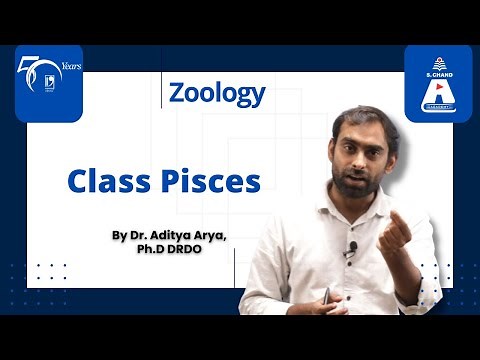 Class Pisces | Zoology | S Chand Academy
