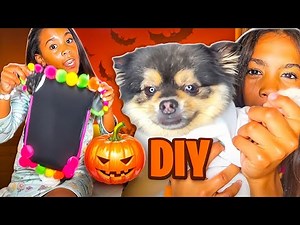 DIY Pet Costumes Your Dog Will Love! 🐾