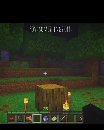 this is my my minecraft world but I keep finding floating blocks and missed placed blocks. i took screen shots. #gameplay #minecraft #fup #pov #somthingsoff