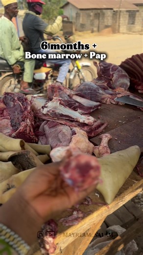 Nutritional Benefits of Bone Marrow for Growth and Immunity