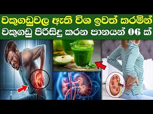 වකුගඩු පිරිසිදු කරන පානයන් වර්ග 10 ක් | Wakugadu pirisidu karana ahara | Kidney Clean Food/Sinhala