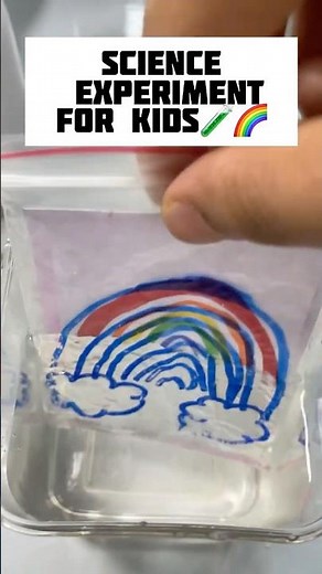 DIY SCIENCE MAGIC 🌈| PHYSICS EXPERIMENT FOR KIDS #refraction #experiment #scienceforkids