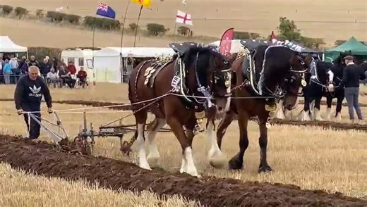 Just love to watch these guys! Come and see them and much, much more at the 2025 British National Ploughing Championships & Country Festival at Clay Lane at Allesley, near Coventry, CV5 9DG on 11th & 12th October 2025. See www.ploughmen.co.uk/tickets for more info and how to get cheap tickets in advance (or you can pay on the gate on the day). | Society of Ploughmen