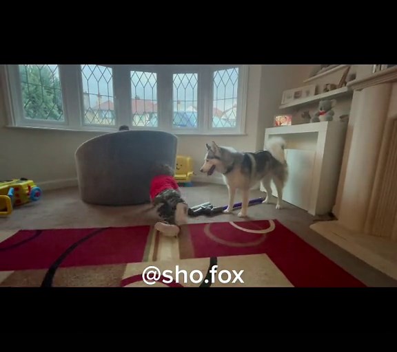 She’s love it when he plays #fyp #foryou #viral #siberianhusky #huskylife #funny #haha #hehe #playing #babygiggles #doglovesbaby #inseparable #pure