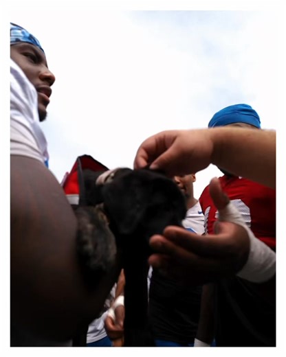 Had some future service dogs from Duke Canine Cognition join us after practice today 👀 | Duke Football