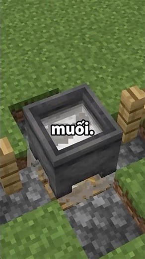 Sẽ Như Thế Nào Nếu Minecraft Thêm Vào Muối? #minecraft