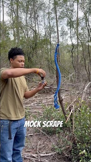 Using Code Blue For A Mock Scrape. What You use? #deerhunting #mockscrape #codeblue #outdoors #bucks