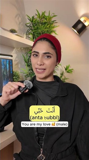 How to Say "I LOVE YOU" in Arabic ❤️🇸🇦 #learnarabic #arabiclanguage #arabicforbeginners
