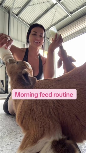 My Morning Animal Feeding Routine