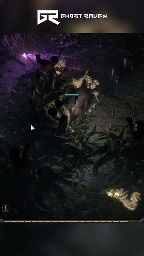 POE2 Druid – Following the Wisp #poe2