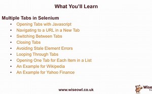 Excel VBA Selenium Basic1.6 - Working with Multiple Tabs in Selenium