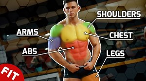 10 Muscle Structure Facts That You Must Know
