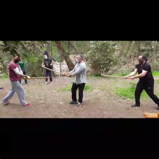 Bokken Forms, Tai Sabaki, Ushiro Ashi
