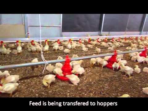 how pan feeder works