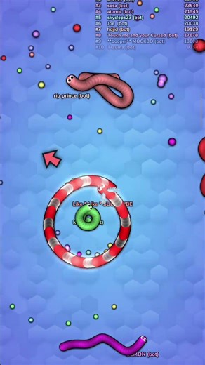 🐍🔥 I Wrapped the Snake… No Escape