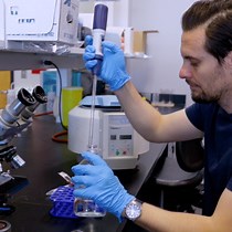 Video: Quantitative Metabolomics of Saccharomyces Cerevisiae Using Liquid Chromatography Coupled with Tandem Mass Spectrometry