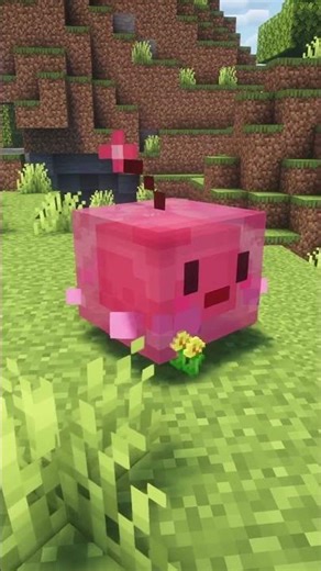 Slime Rancher in Minecraft