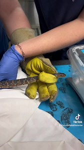 32 reactions | We love to see a patient story come full circle! ...