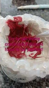 how to make a monster can!! :3