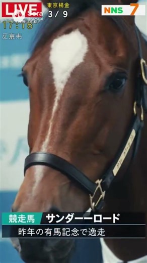 競走馬、謝罪会見を開く