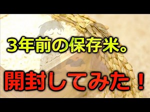 Preserved rice from 3 years ago. Results of rice stockpiling experiment!