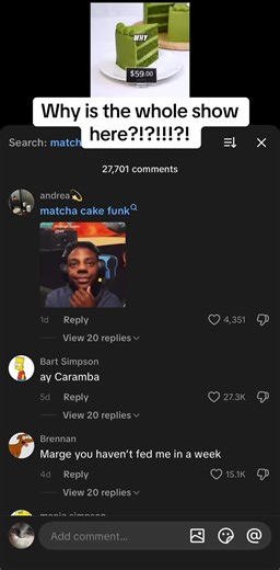 Marge Simpson's Delicious Matcha Cake Recipe