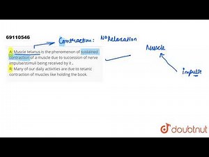 A: Muscle tetanus is the phenomenon of sustained contraction of a muscle