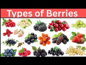 Types of Berries || Learn All Berry Names in English with Pictures ‪@littlekiddieworld‬