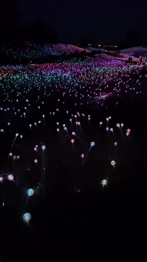 Field of Lights #sensorio