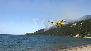 Εύβοια: Πυρκαγιά στην Ιστιαία