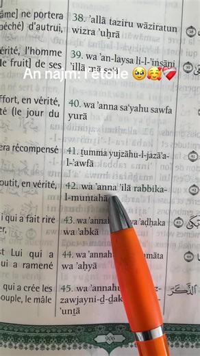 An Najm: L'Étoile Coranique