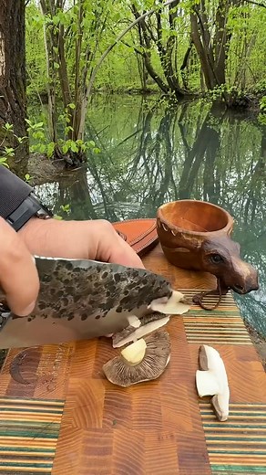 Rest in Chechnya 🌳🔥🪺🍳🍅🥓🍄imes #cooking#bushcraft#Food#Adamdoc#Uutdoorcooking#Chechnya | Sonu Darshil