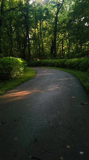 alone4life444 (@alone4life444)’s video of pokemon