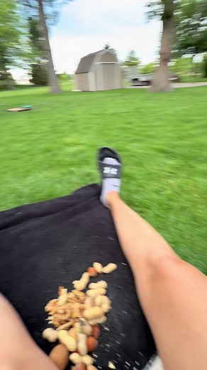 #blacksquirrel #canada_life🇨🇦 #walnuts #beingcute #fyp | squirrel
