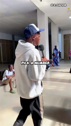 How Many Triangles can you see in this picture? Solve the Puzzle Now!