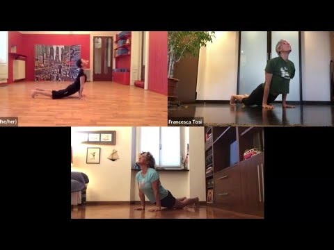 🎅🎄🎁 ANIMAL FLOW FOR EVERY-BODY