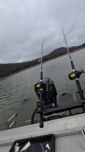 Mike Graham on Reels