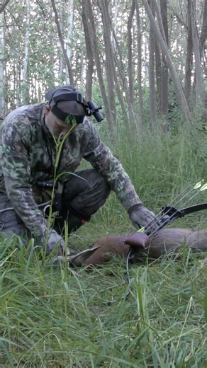 Roebuck with a Recurve 🏹🦌👊#talesfromthewillows #traditionalbowhunting #shorts #hunting #deer