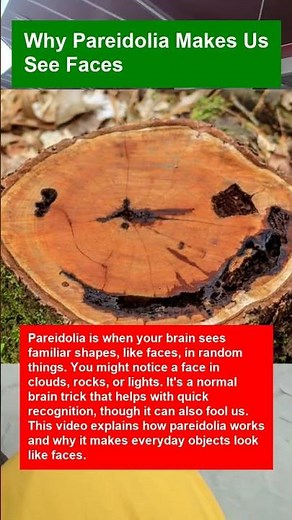 Why Pareidolia Makes Us See Faces - OTOMOTIPS