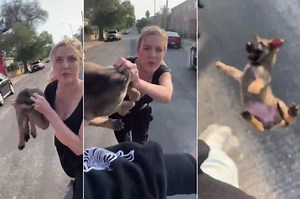 Karen throws dog in racist rant