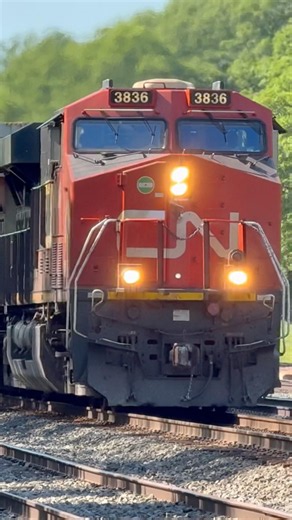 CN 3836 Southbound Stacks at Stone Lake, WI