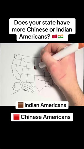 Does your state have more Chinese or Indian Americans? #usa #chinese #indian #diversity #map