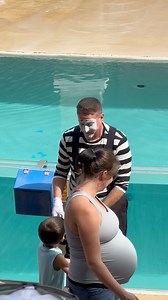 3.6K views · 82 reactions | Rob’s funny clips #reels | Seaworld Views | Facebook