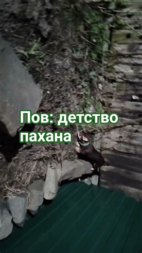 21 марта 2026 г.