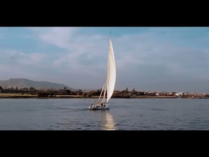 2020 Enactus World Cup Champions - Egypt