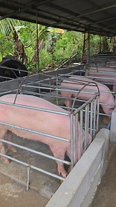 Hapit najud ma plastar 🫶🫶🫶 | Jason EM